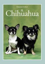 Il Chihuahua