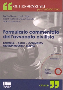 AA.VV., Formulario commentato dell