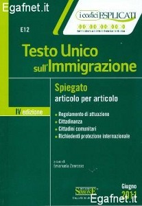 ZANROSSO EMANUELA, Testo unico sull