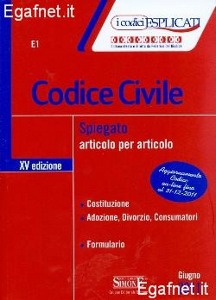 DEL VECCHIO R., Codice civile spiegato articolo per articolo