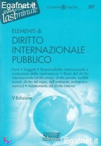 CAMMILLI GIOVANNA ED, Elementi di diritto internazionale pubblico