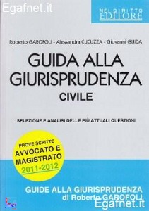 GAROFOLI ROBERTO, Guida alla giurisprudenza civile