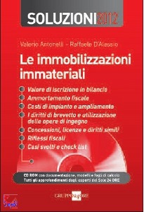 ROSCINI VITALI, SOLUZIONI 2012 Immobilizzazioni beni immateriali