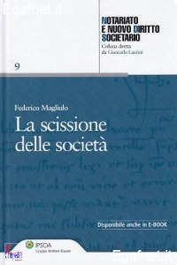 MAGLIULO FEDERICO, La scissione delle societ