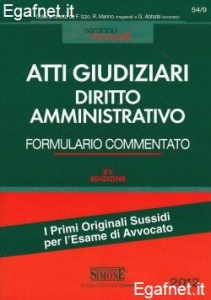 SIMONE, Atti giudiziari. Diritto amministrativo