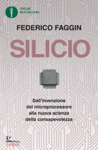 FAGGIN FEDERICO, Silicio