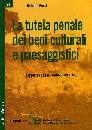 ROSSI ROBERTO, La tutela penale dei beni culturali e paesaggio