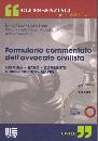 AA.VV., Formulario commentato dell