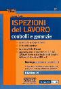 PARISI MAURO, Ispezioni del lavoro Controlli e garanzie