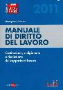 FALASCA GIAMPIERO, Manuale di diritto del lavoro