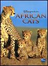 DESNEY, African cats