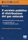 FERLA STEFFANO, Il servizio pubblico di distribuzione gas naturale