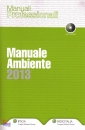 IPSOA, Manuale ambiente 2013