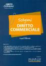 NEL DIRITTO, Schemi di diritto commerciale