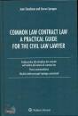 immagine di Common law contract law a pratical guide