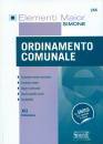 ELEMENTI MAIOR, Ordinamento comunale (Enti locali)