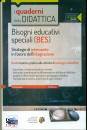 EDISES, Bisogni educativi speciali BES