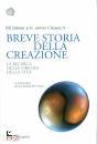 MESLER - CLEAVES II, Breve storia della creazione