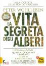 WOHLLEBEN PETER, La vita segreta degli alberi