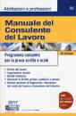 SIMONE EDITORE, Manuale del consulente del lavoro