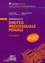 IZZO - PICCIOTTO, Manuale di diritto processuale penale