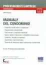 REZZONICI SILVIO, Manuale del condominio