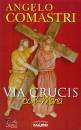 immagine di Via crucis con Maria