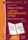 SIMONE, Schemi & Schede di Diritto Processuale Civile