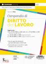 RIVA SEVERINO, Compendio di diritto del lavoro