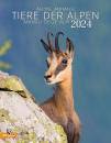 AAVV, Tiere der Alpen 2024 . Calendario Animali Alpi