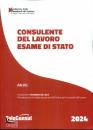 TELECONSUL, Consulente del lavoro Esame di Stato