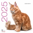 WHITE STAR, Gatti Calendario Da Muro 2025