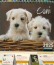 GOODMAN LISA, Cani & Gatti  Calendario 2025 Pocket da tavolo